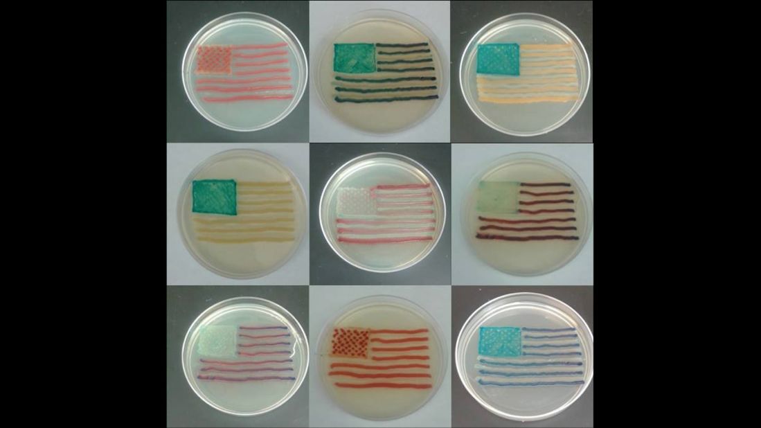 This artist used a strain of E. coli to create this Andy Warhol inspired petri art.