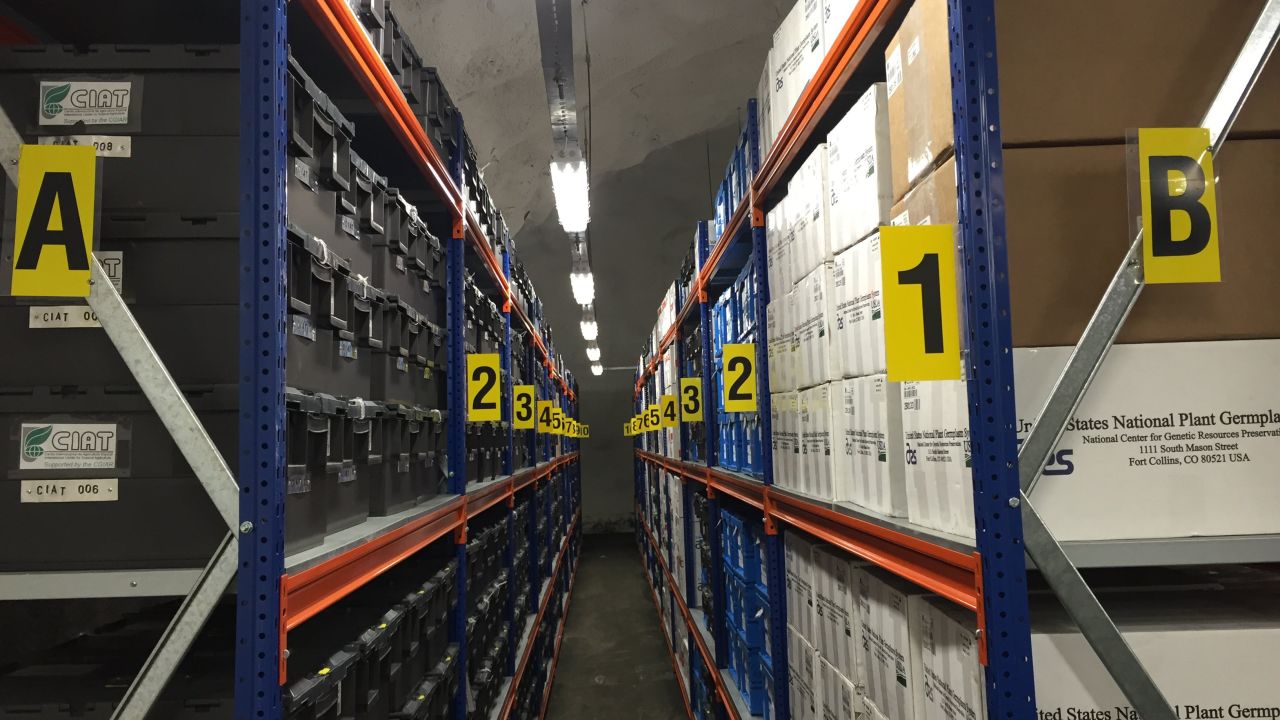 The vault is carved out of the side of a mountain -- the icy permafrost surrounding it functions like a natural freezer, so even if the power fails, it will stay cold.