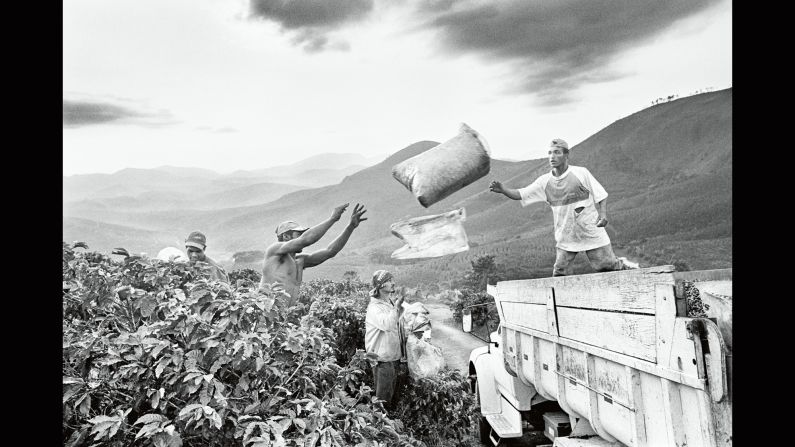 People harvest coffee in the Brazilian state of Minas Gerais in 2002.