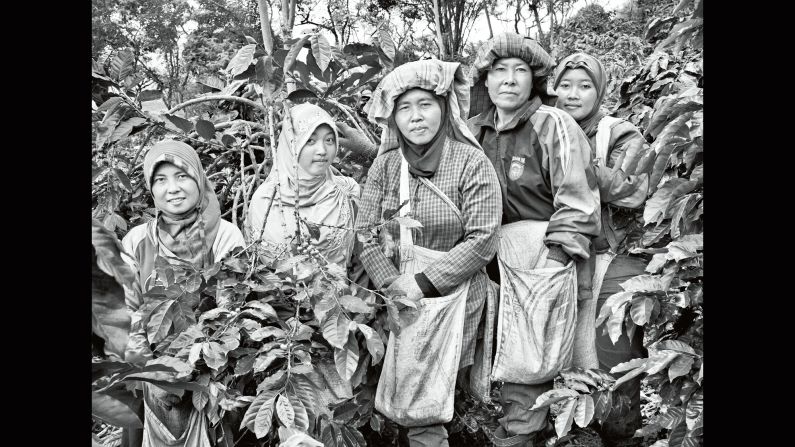 Coffee pickers are photographed on a family plantation on Indonesia's Sumatra Island in 2014.