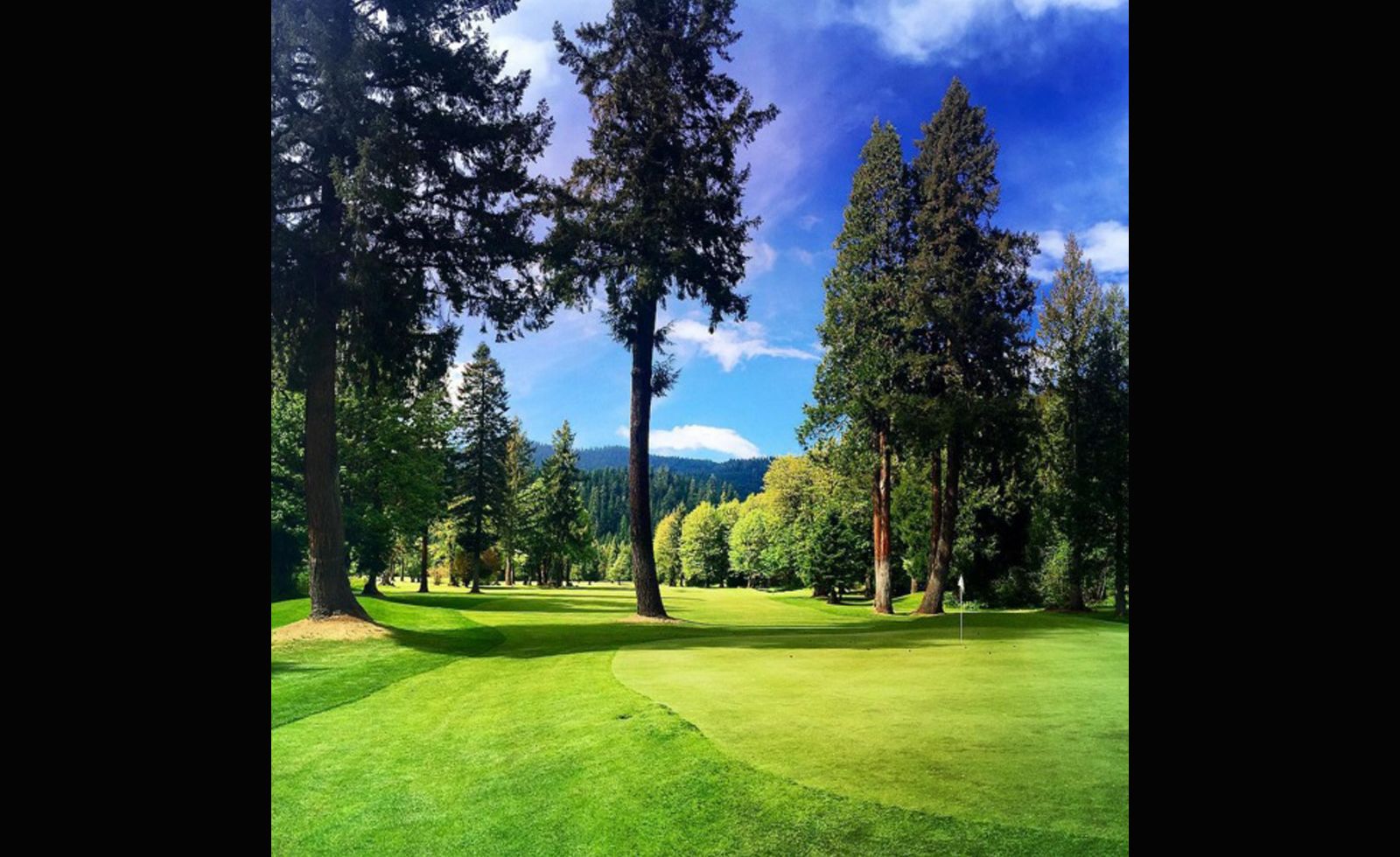 The combination of vivid greens and browns in <a href="index.php?page=&url=https%3A%2F%2Finstagram.com%2Fc4rtp4th%2F" target="_blank" target="_blank">@c4rtp4th</a>'s submission is synonymous with the Pacific Northwest. "The four towering pine trees will reject any garbage you throw at the green. Love a golf hole that makes you think and work for a good score," he said. 