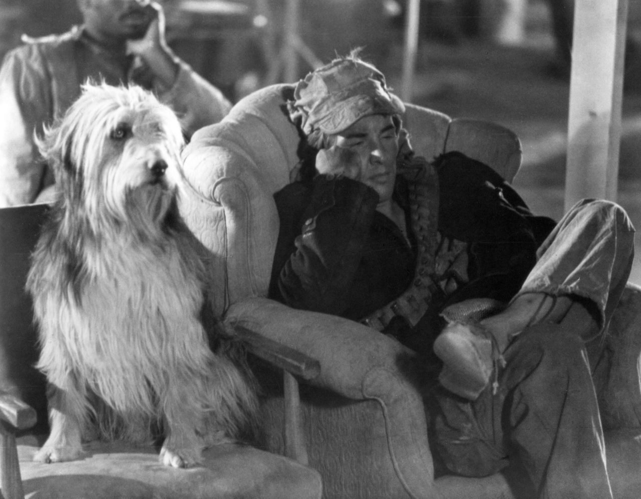 "A Boy and His Dog" (1975) takes place in a post-apocalyptic wasteland where Don Johnson and his dog wander in the year 2024. There are some survivors who live underground, but their society isn't necessarily better off.