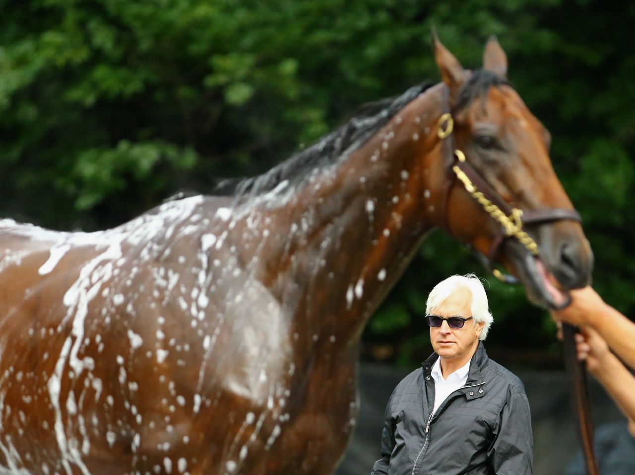 Bob Baffert has trained three previous winners of the Kentucky Derby, but American Pharoah broke new ground for him. "I've been fortune to have some really good horses -- he just kept on, he'd bring it every time," Baffert told CNN. 