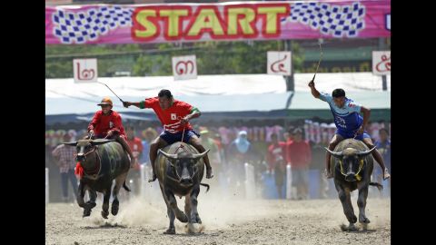 Thai jockeys compete during the annual water buffalo race in Chonburi Province, south of Bangkok, Thailand, on Monday, October 26. The annual race is a celebration among farmers before harvesting rice. 