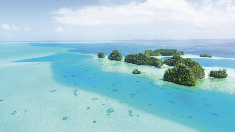 Palau's diving and snorkeling opportunities have led some to call it "the underwater Serengeti."