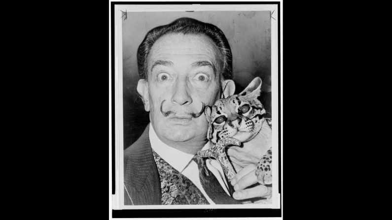 OK, so Salvador Dali wasn't a cat lover, per se. He did, however, like members of the cat family -- including his pet ocelot, Babou. The ocelot regularly accompanied Dali to such places as restaurants and autograph signings. Not that Dali was above other felines -- just <a href="index.php?page=&url=http%3A%2F%2Fwww.cnn.com%2F2015%2F10%2F08%2Fentertainment%2Fgallery%2Ftbt-philippe-halsman-jump-book%2F">check out the photo he did for Philippe Halsman's "Jump Book." </a>