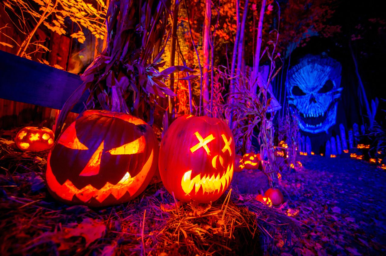 According to America's National Retail Federation the average person celebrating Halloween will spend $74.34 this year. Total spending on the holiday is expected to reach $6.9 billion.