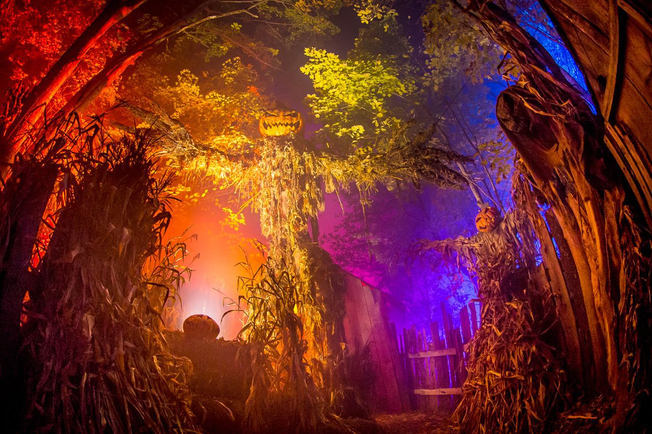 The attraction uses sounds and smells to create  truly terrifying experience for its visitors. 