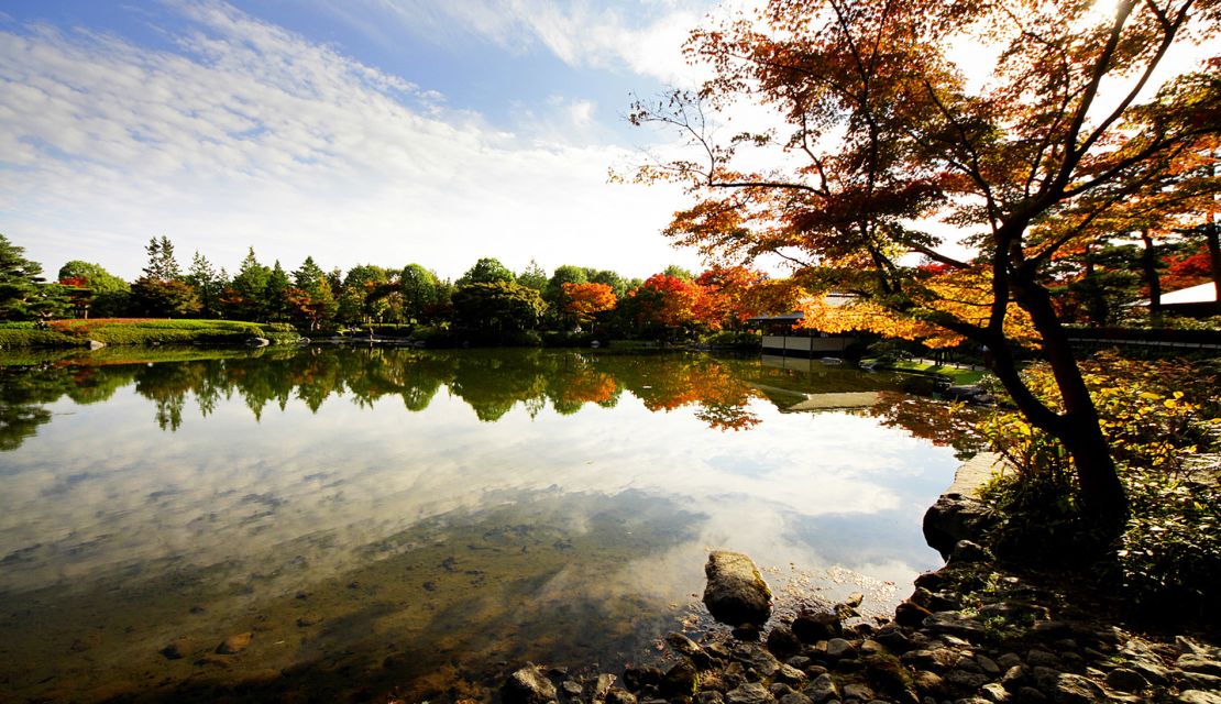 Autumn leaves put on a show at Showa Kinen Park in Tokyo.