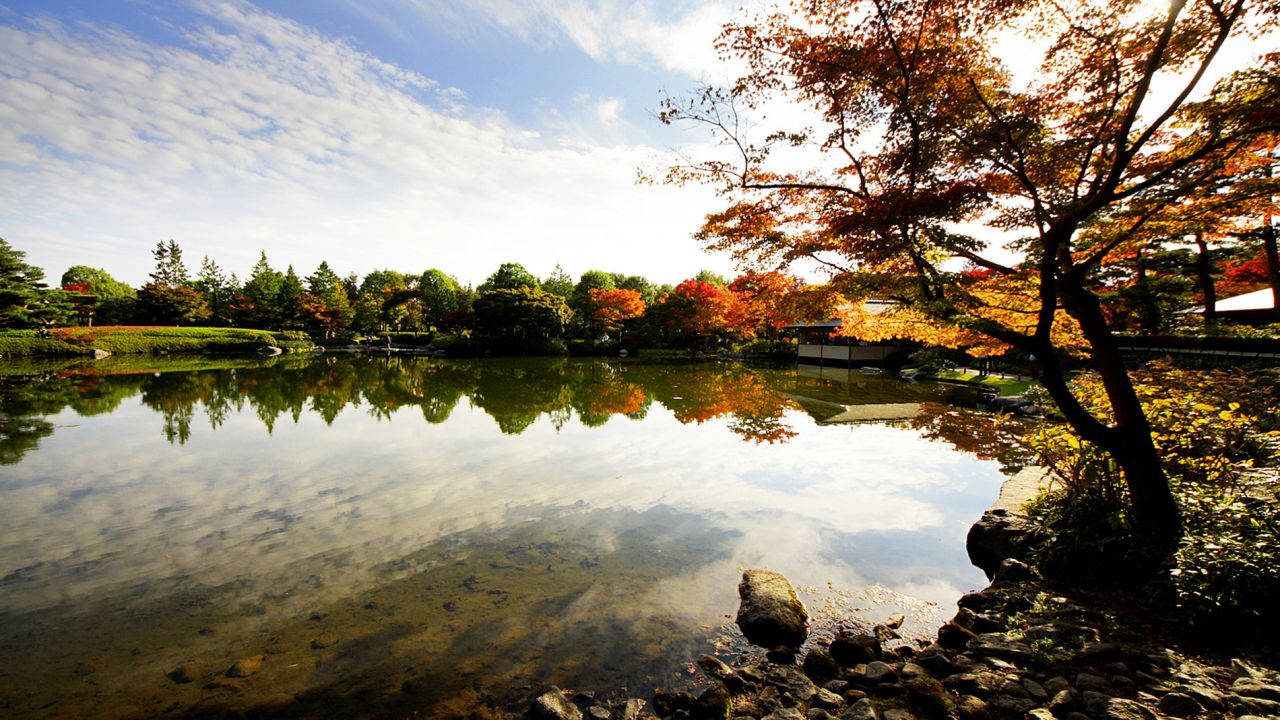Autumn leaves put on a show at Showa Kinen Park in Tokyo.
