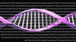 pioneers crispr dna gene editing