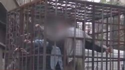 syria caged hostages human shields_00001728.jpg