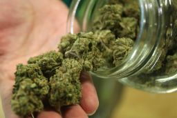 Dave Warden, a bud tender at Private Organic Therapy (P.O.T.), a non-profit co-operative medical marijuana dispensary, displays various types of marijuana available to patients on October 19, 2009 in Los Angeles, California.