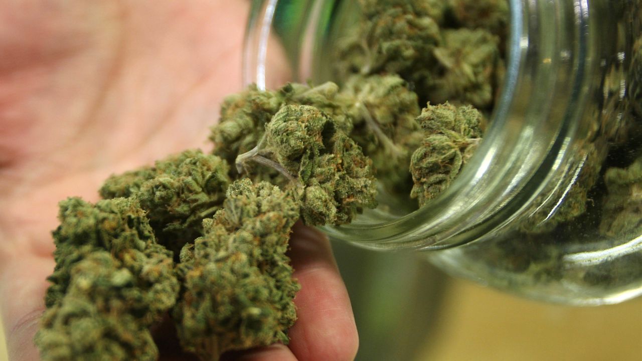 Dave Warden, a bud tender at Private Organic Therapy (P.O.T.), a non-profit co-operative medical marijuana dispensary, displays various types of marijuana available to patients on October 19, 2009 in Los Angeles, California.