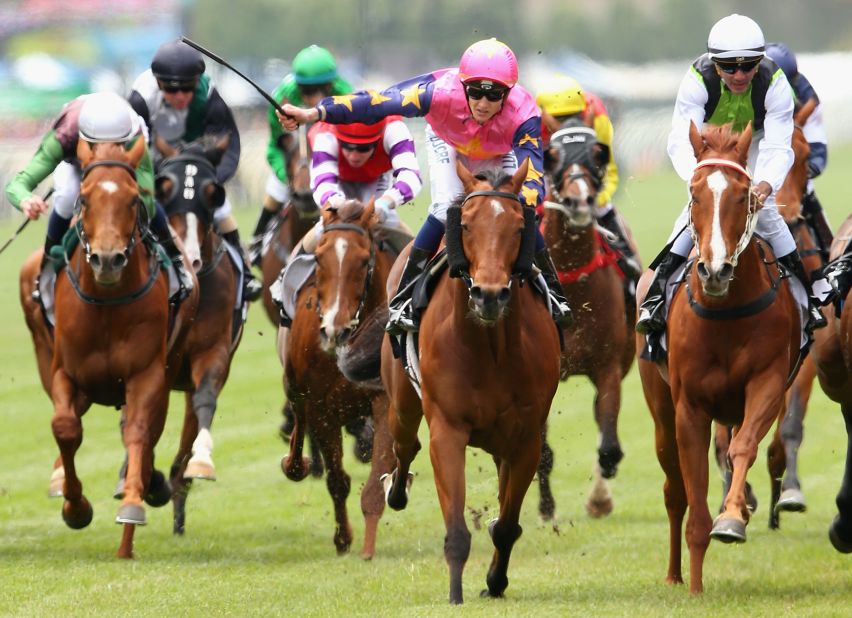 There were 24 horses competing for a chance at sporting immortality.