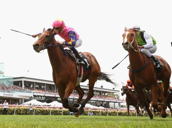 Chad Scofiled rides De Little Engine to win Race 3, the J.B Cummings AM Tribute Plate, on Melbourne Cup Day on November 3.