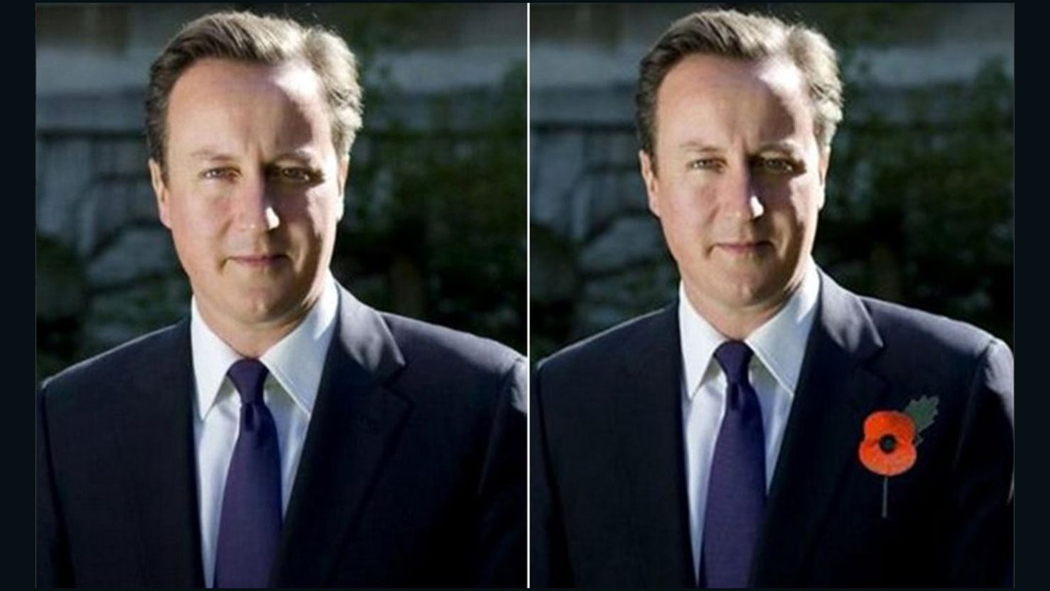 Spot the difference: David Cameron's fake poppy attempt