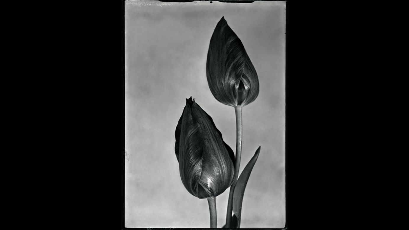 Not all of Blok's flower photos were in color.
