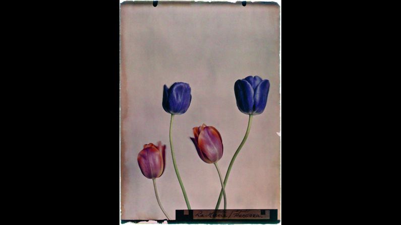 The Autochrome technique gave images a soft, impressionistic feel.