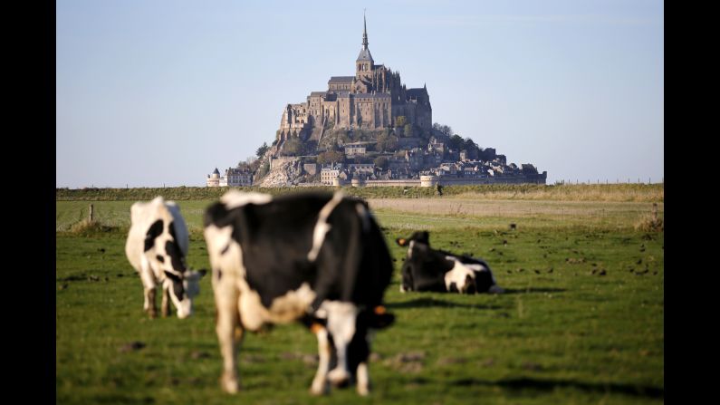 Cows graze near the Mont Saint-Michel Abbey, a medieval monastery on an island just off the northwest coast of Normandy. A rare "supertide" in March completely swamped a new $227 million bridge connecting the island to the mainland. 