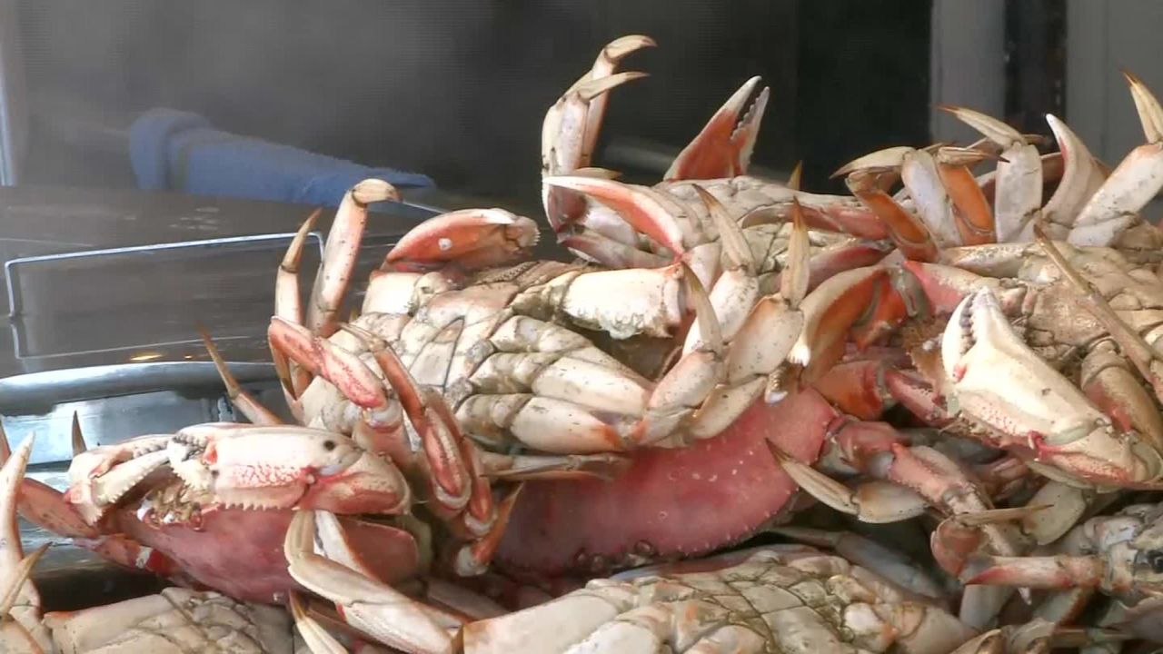 California recreational crabbing season on hold CNN