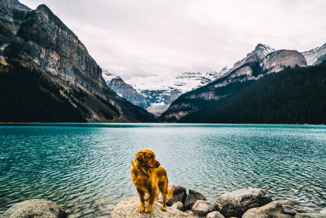 The four-year-old golden retriever is the star of these images, shot by his owner Hunter Lawrence. The professional photographer says he had always promised he would never put a photo of Aspen on Instagram.