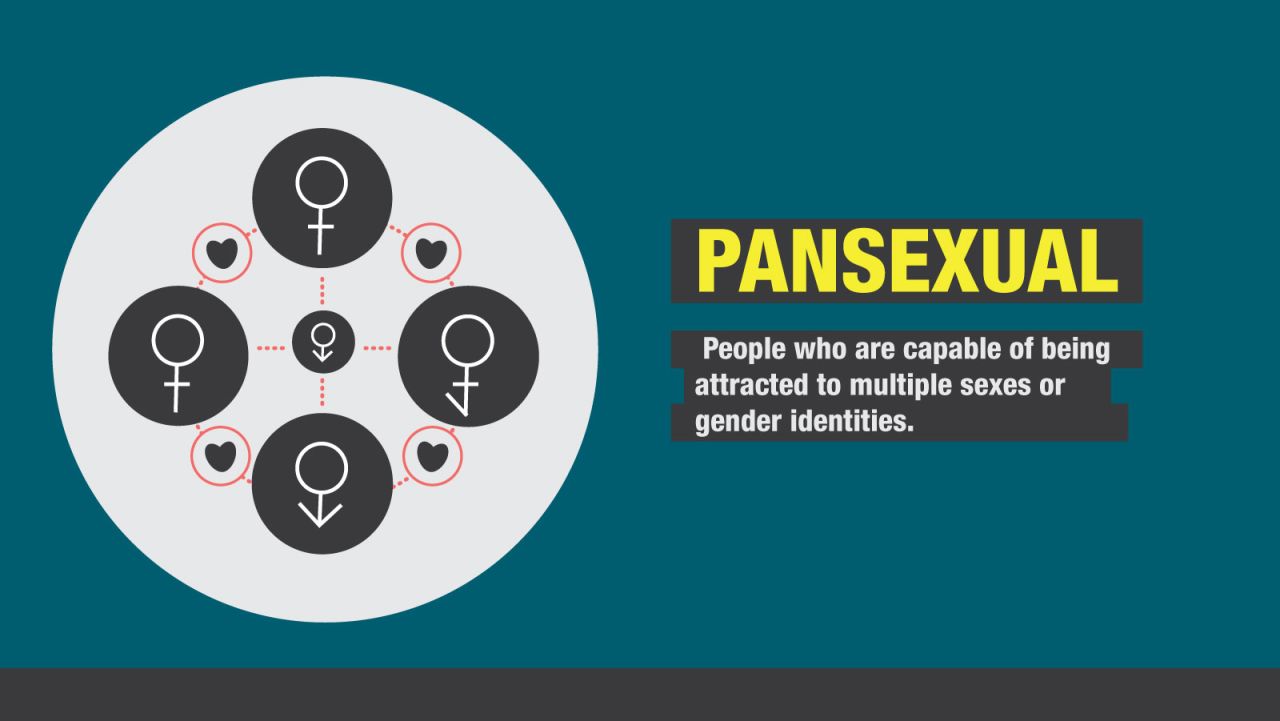 gender sexuality pansexual 3