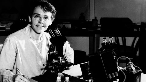 A leader in genetics research, McClintock used corn to develop understanding of transposition: the idea that genes turn physical characteristics on and off. Unrecognized for years, she received the 1983 Nobel Prize for Medicine at age 81.