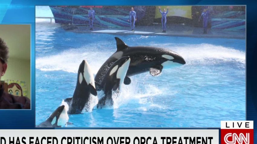 seaworld no more killer whale shows blackfish co-writer intv walker cnn today_00033325.jpg