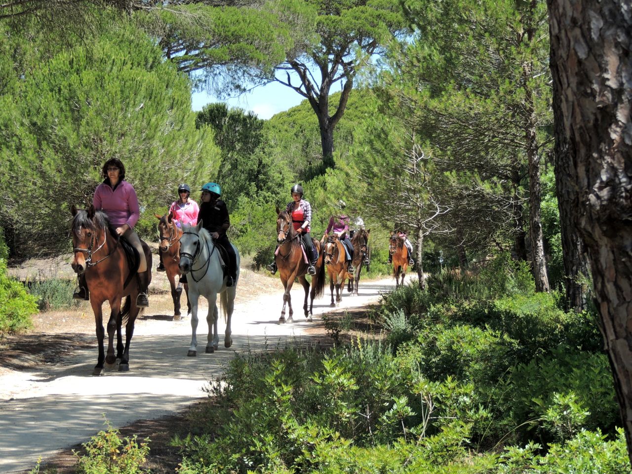 As well as the unspoilt beaches of the Costa de la Luz, there are coastal trails through pine forests, offering tranquility and a counterbalance to the exhilaration of galloping across the sand flats and  breakers.  