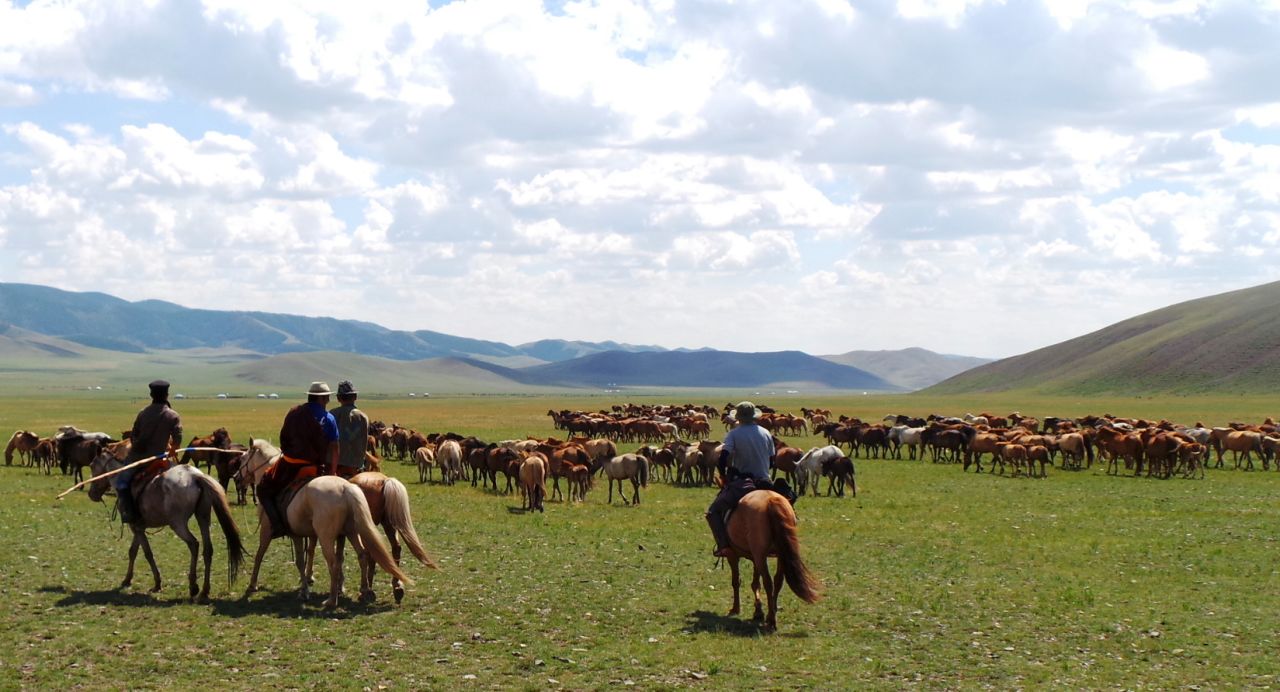 If you're after a more remote holiday, then Mongolia could be the perfect riding destination. 