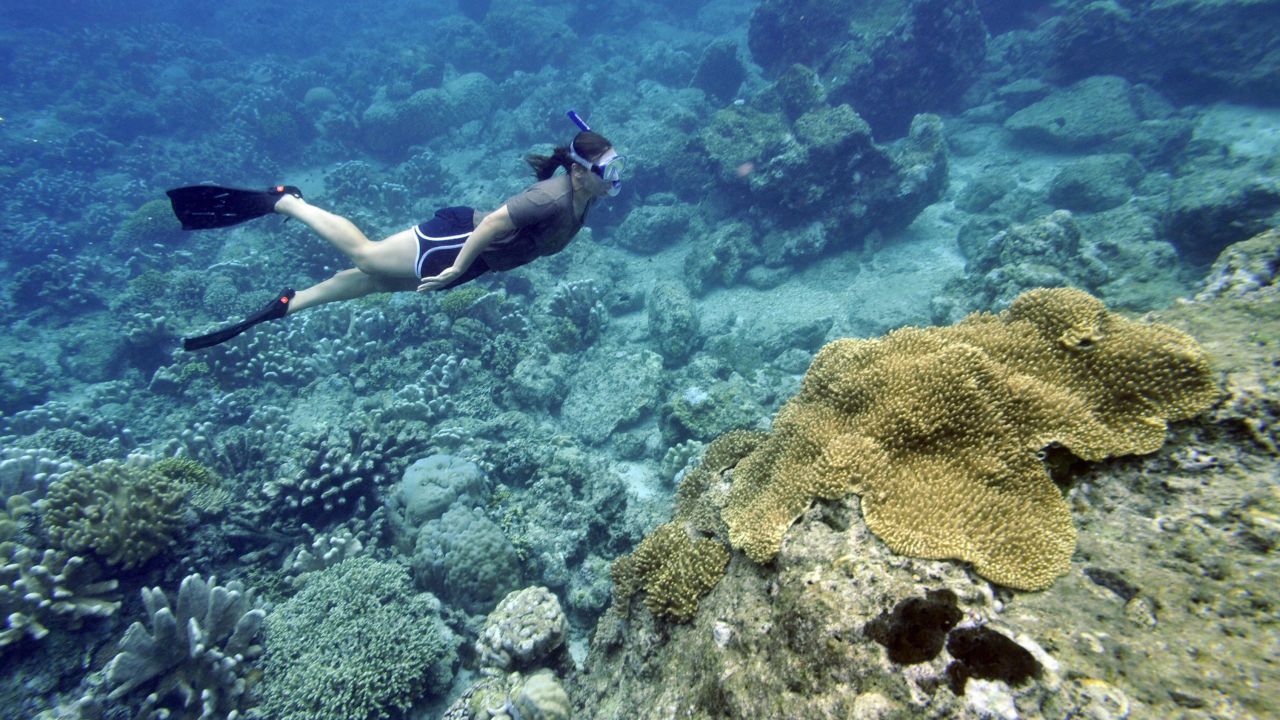 A diver explores the crystal clear waters at the Bunaken coral reef in Manado, northern Sulawesi.