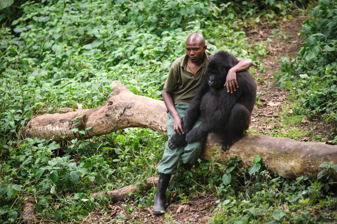 Despite the dangers posed to the rangers at Virunga National Park, many are willing to put their lives at risk. 