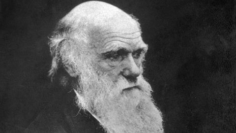 Charles Darwin