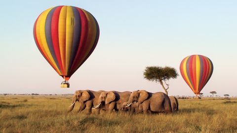 From Central Asia to Borneo, luxury specialists share their top picks for the year to come.