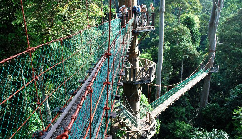 One of the highlights at Borneo Rainforest Lodge is its canopy walk. The entire resort and its walkways are elevated above ground on wooden stilts to preserve the rainforest floors.