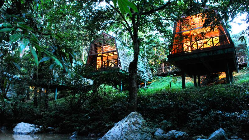 10 Rainforest Resorts In Malaysia You Should Check Out | CNN