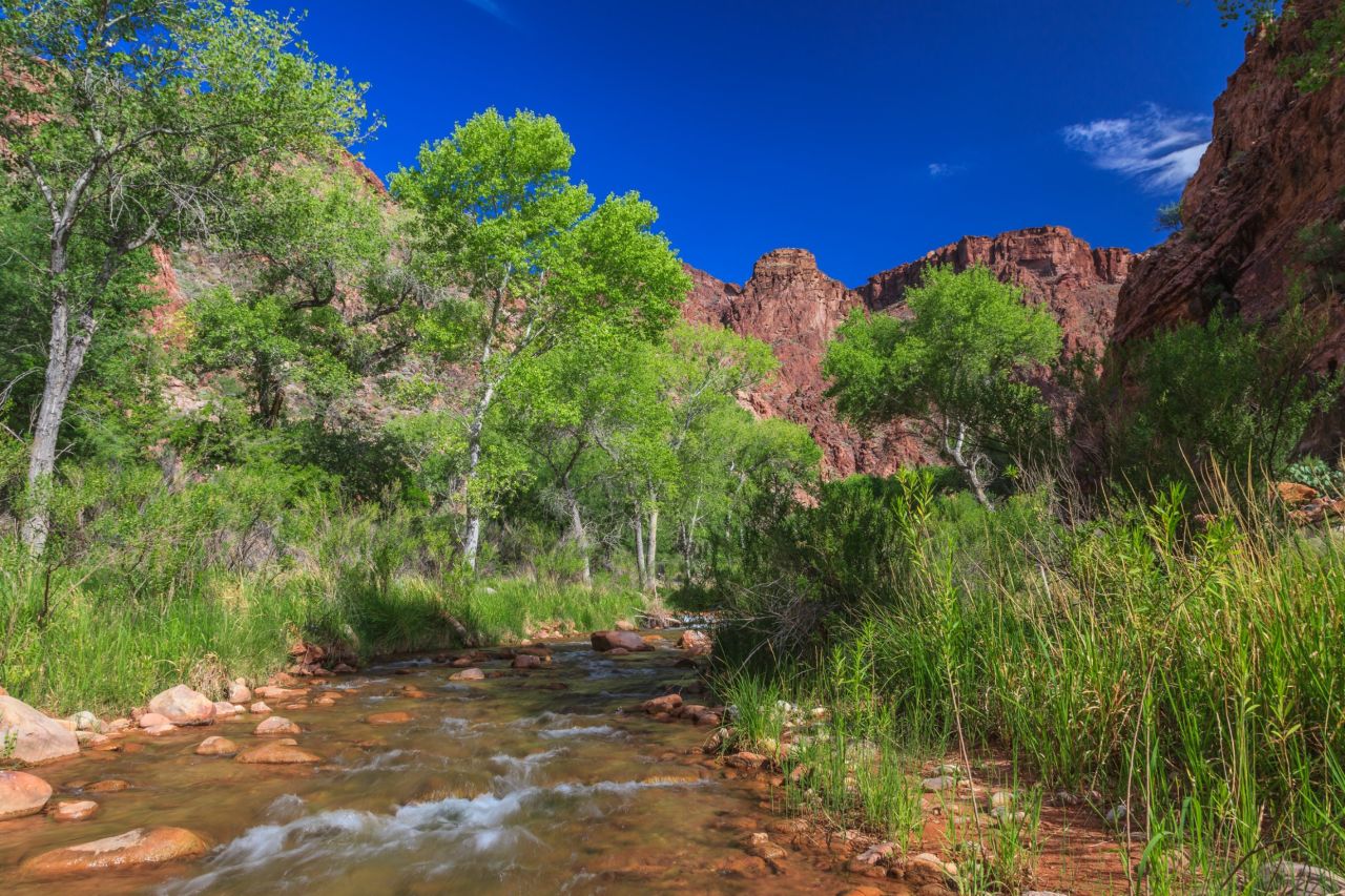 After nearly 10 miles, Bright Angel Trail ends at Bright Angel Campground located along crystal clear Bright Angel Creek at the bottom of the canyon. All campsites are shaded by giant cottonwoods. Numerous day hike options start at the campground.