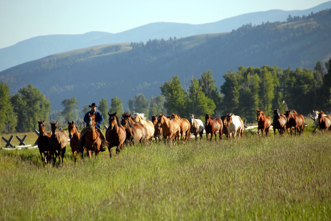 If you've ever dreamed of riding in the Old West then a trip to Montana could be the perfect holiday. 
