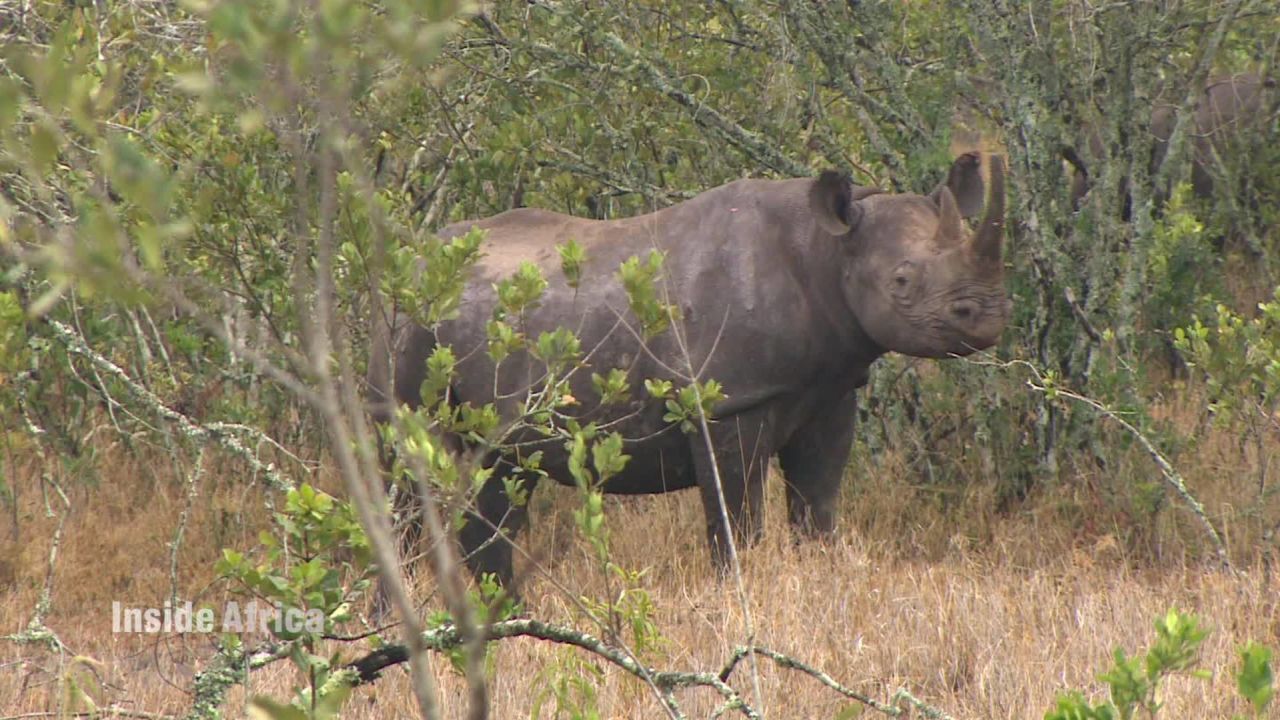 spc inside africa ol pejeta conservancy b_00023115.jpg
