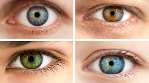 No two eyes have exactly the same iris patterns.