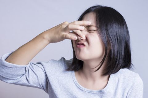 Subtle differences occur in body odor when someone is sick or infected, changing their odors from pleasant to aversive. When picked up by others, these differences can inform them to protect themselves and avoid becoming infected.