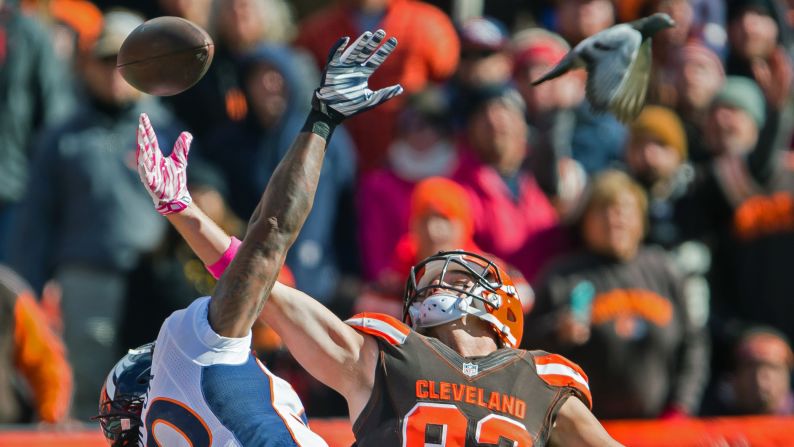 A bird flies near Denver safety David Bruton, left, as he defends Cleveland's Gary Barnidge during an NFL game in Cleveland on Sunday, October 18.