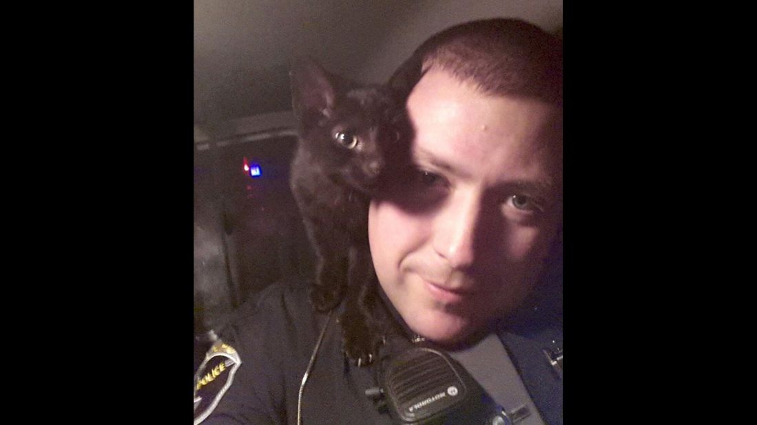 The Idaho State Police<a href="https://twitter.com/IdahoStPolice/status/560067507265220608/photo/1" target="_blank" target="_blank"> tweeted this "#kittyselfie"</a> early on Tuesday, January 27: "Trooper Acheson rescued this little guy from the highway in the ‪#TwinFalls area early this morning."