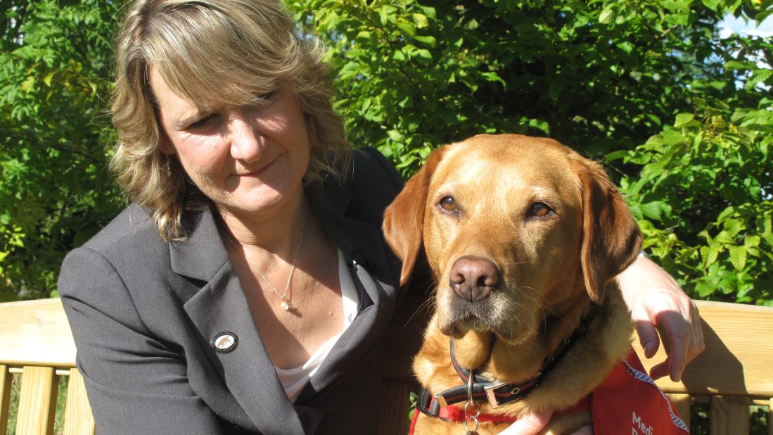 Claire Guest is the CEO of Medical Detection Dogs, a company that trains dogs to sniff out cancer. Her fox red Labrador, Daisy, caught her breast cancer six years ago when she was 45. "She kept staring at me and lunging into my chest. It led me to find a lump," Guest remembers.