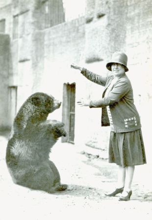 The original Canadian black bear is pictured here at the London Zoo, with a visitor.