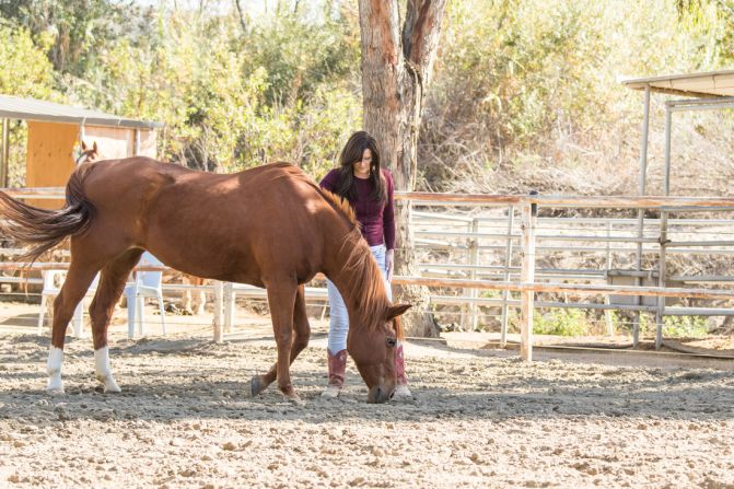 When horses begin responding to a person, this can help a patient identify and confront their issues, Caddes explains. 