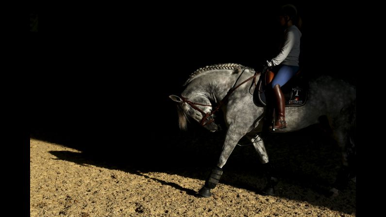 In the Andalusian capital of Seville, in southern Spain, the Sicab International Pre Horse Fair is dedicated exclusively to the purebred Spanish horse.