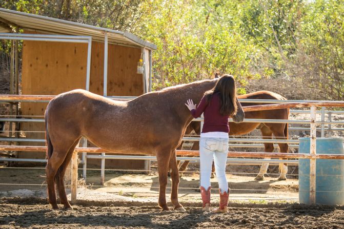 It has treated people suffering from depression and anger-management issues, and ex-military personnel trying to cope with post-traumatic stress disorder.