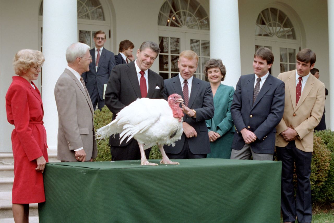 Reagan admires a turkey in 1982.